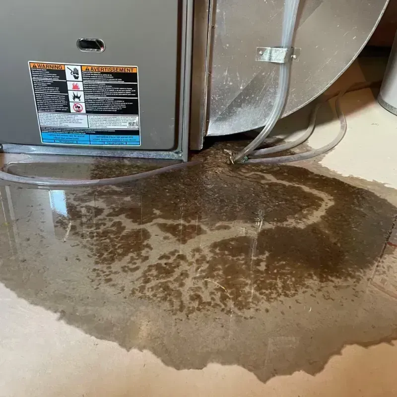 Appliance Leak Cleanup in Hurricane, UT